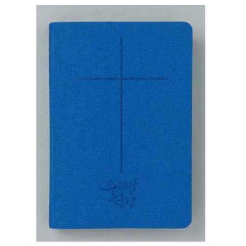 우리말성경 슬림 DKV2105 (중/단색)  블루